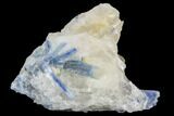Vibrant Blue Kyanite Crystals In Quartz - Brazil #118866-1